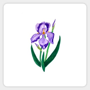 Purple Iris Sticker